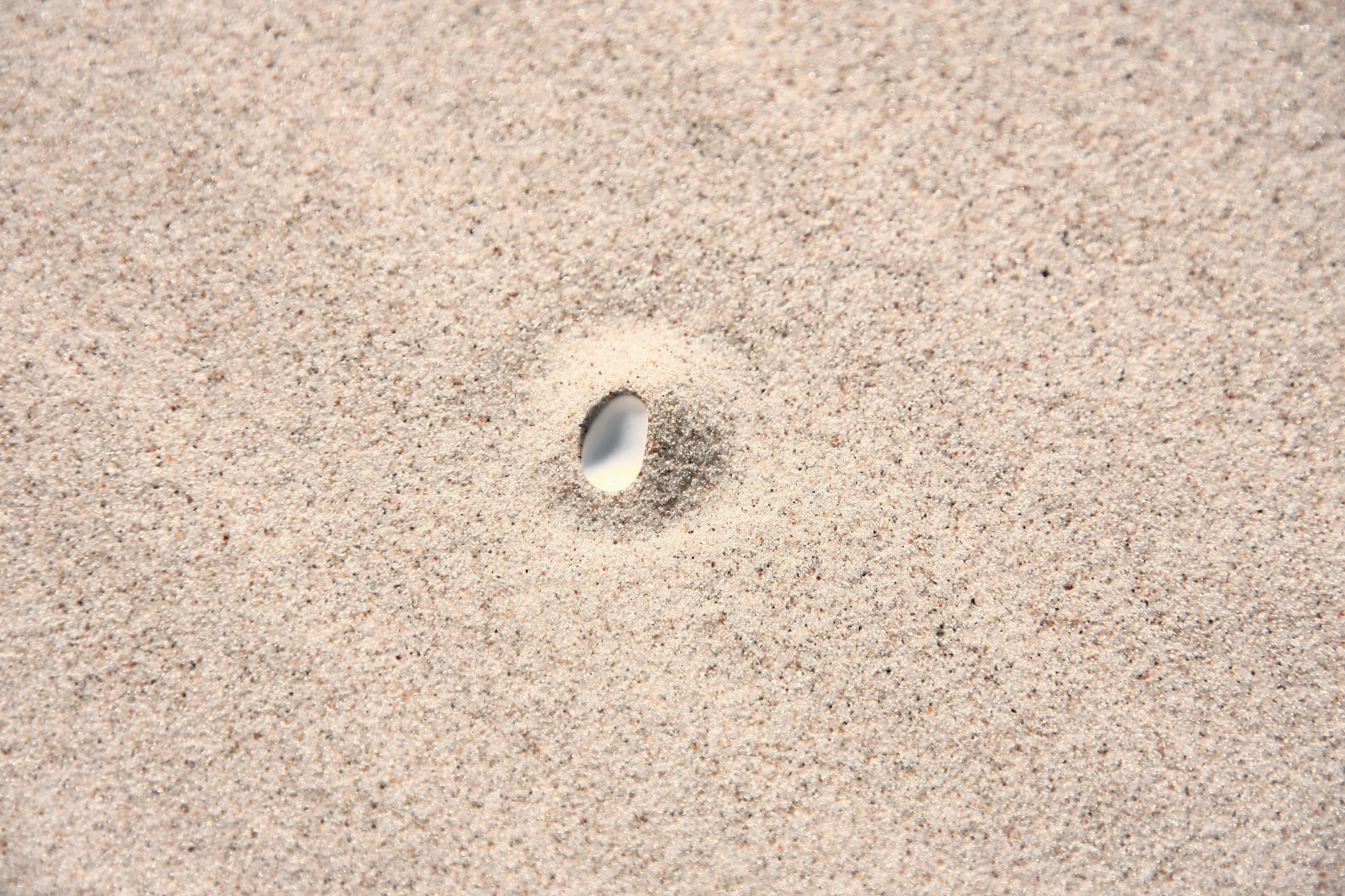 Sten i mitten av sand